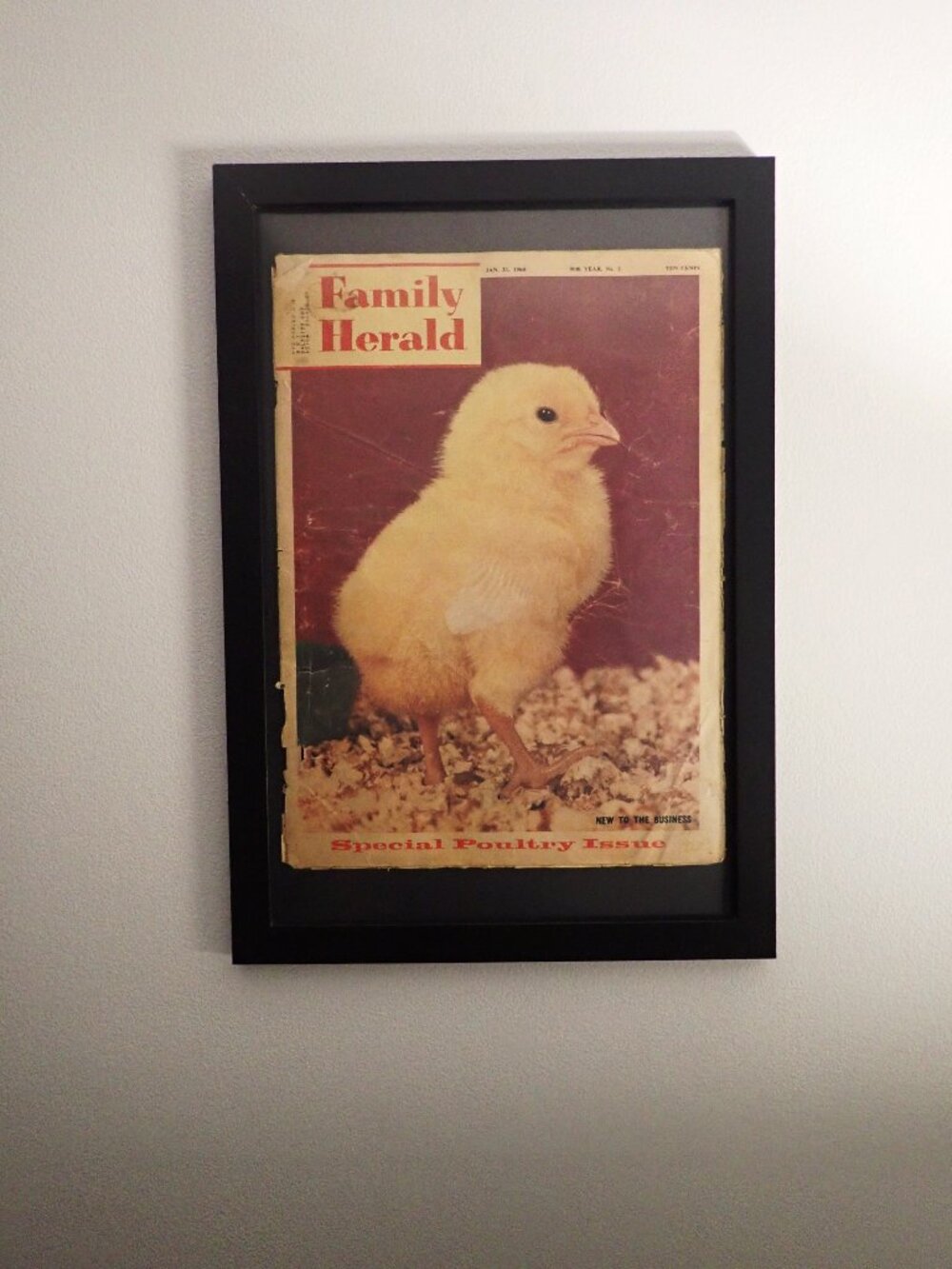 LARGE FRAMED FARMERS MAGAZINE - 1960